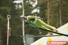 098 Dawid Kubacki